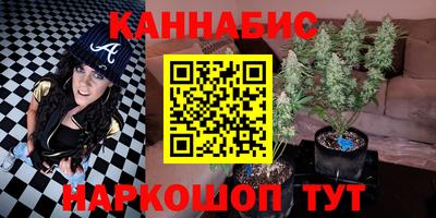 PSILOCYBIN Камышлов