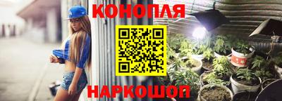 шишки Берёзовский