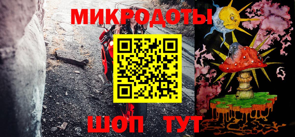 Черкесск  купить  цена  Вход с VPN  Галлюциногенные грибы Psilocybe 