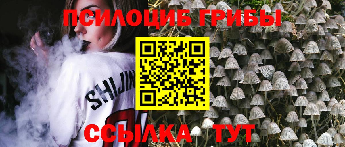 Галлюциногенные грибы мухоморы Черкесск